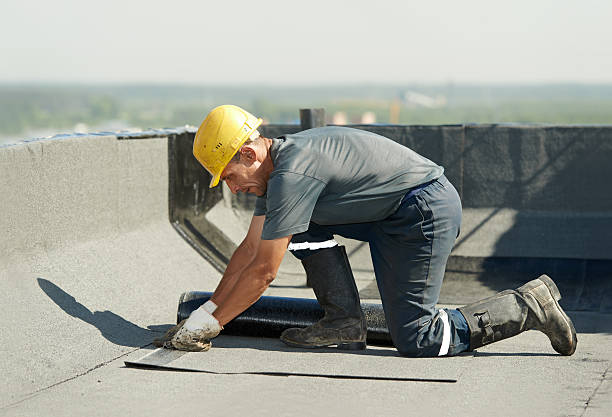 Best Specialized Insulation Services in Sumas, WA