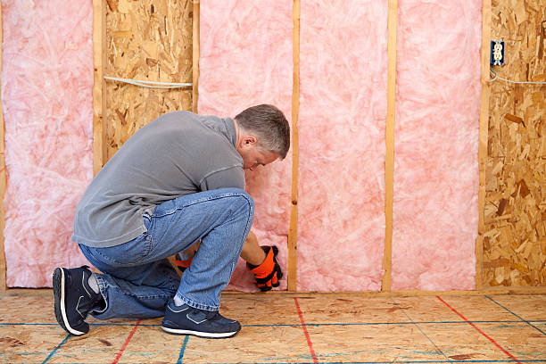 Best Eco-Friendly Insulation in Sumas, WA